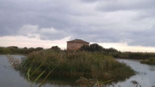 dalla Città
