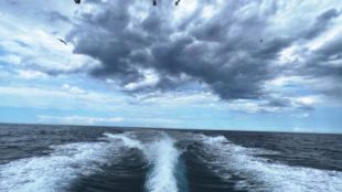 Grande soddisfazione per la sezione pesca del Cns impegnato nei giorni scorsi nel torneo regionale di surfcasting a coppie