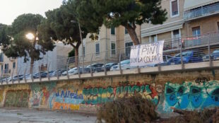Sambenedettesi per la tutela dei Pini in Città
