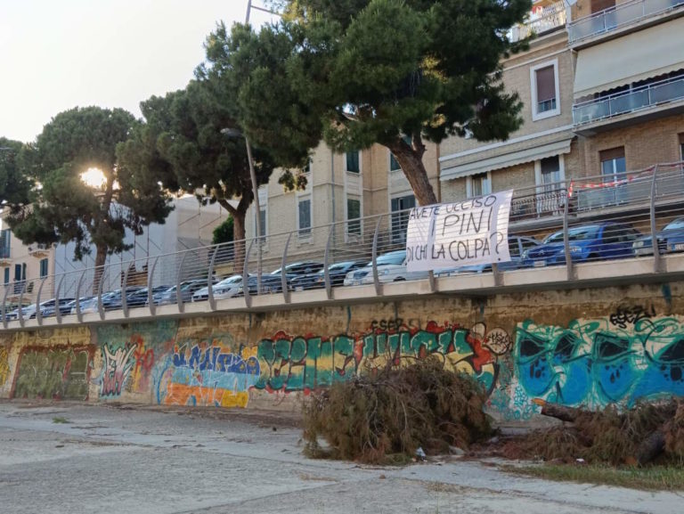 Sambenedettesi per la tutela dei Pini in Città