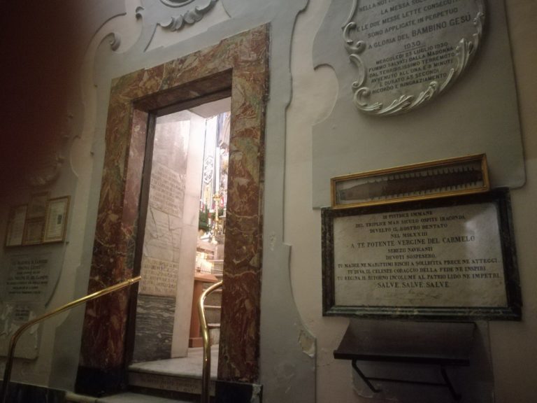 Il Pesce sega e l’enigma della “reliquia” zoologica