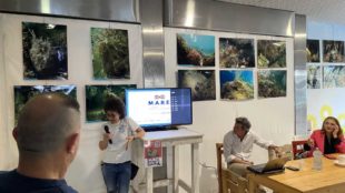 Come è profondo il mare