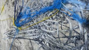 La Magia dell’Arte Viva verso il finissage al Museo dell’Arte sul Mare