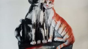 Marcello Sgattoni è un gatto