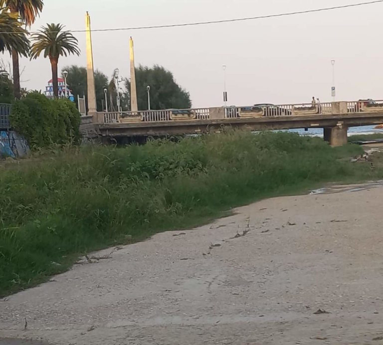 Bagalini e Traini: ‘Aree verdi e bambinopoli, estate passata nel degrado assoluto’