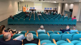Le Verità nascoste sulla Sanità Picena dal 2002 al 2023