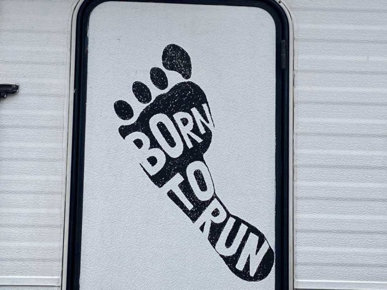 è l’impresa di Riccardo per ‘ Essere Animali’