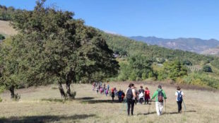 Camminate sportive sui luoghi del sisma, successo a Ponte d’Arli