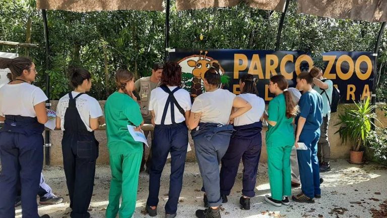 STUDENTI DI VETERINARIA DELL’UNICAM IN TRASFERTA AL PARCO ZOO FALCONARA: LEZIONI TEORICO-PRATICHE SU GIRAFFE E OKAPI