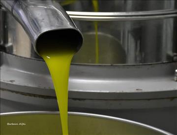 dalla Regione Marche