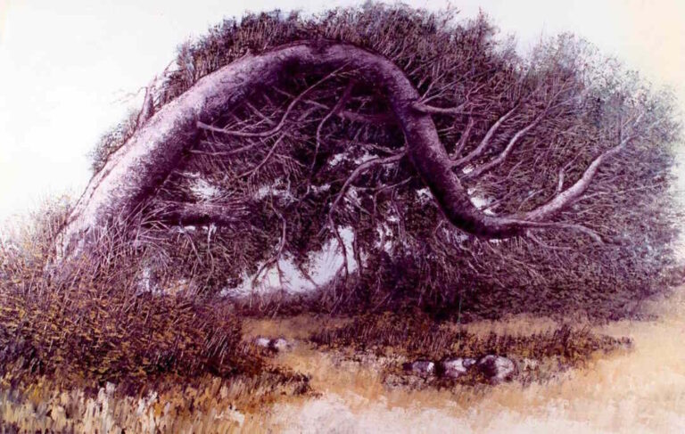 ‘Mario Lupo, la forza del sentimento’. La figlia Maristella racconta @ ‘I Venerdì del Circolo’