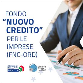 dalla Regione Marche