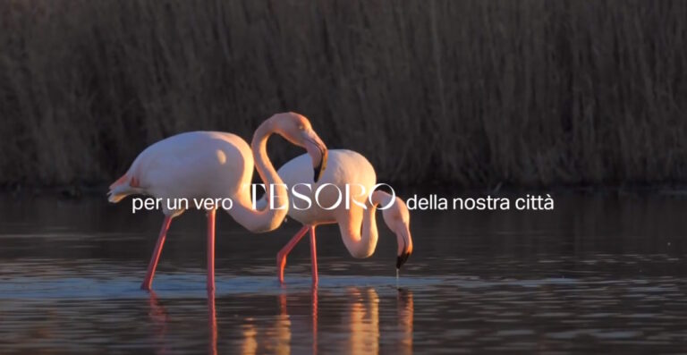 Riserva Sentina. I Sentieri della Storia