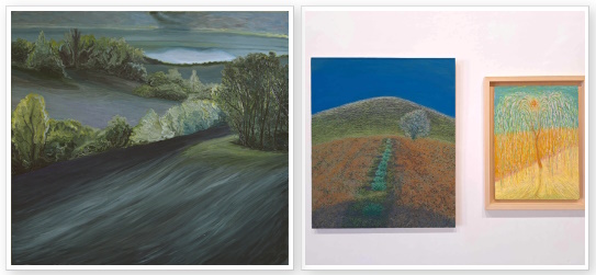 Enrico Pierotti, “GUARDARE GLI ALBERI”