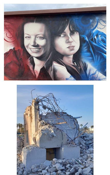 La forzata metamorfosi del Ballarin sarà un “ecocidio”, un ecoreato, un delitto contro l’ambiente