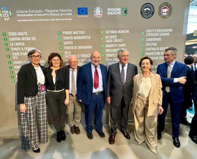 VINITALY, LE MARCHE PUNTANO SU BIOLOGICO, QUALITÀ E INNOVAZIONE