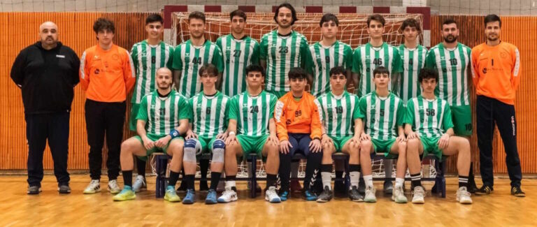 PallaMano, Hc Monteprandone ko a Belluno