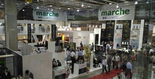 Regione Marche a Vinitaly: 107 cantine, 20 Dop e 1 Igp a Verona dal 14 al 17 aprile