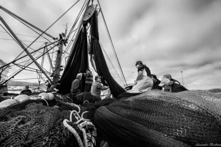 PESCA, DECRETO-LEGGE N. 63 DEL 15 MAGGIO 2024