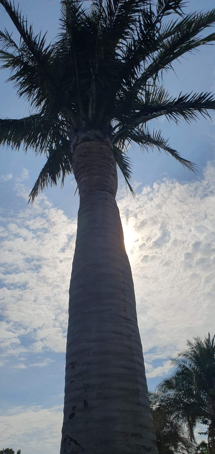 effetto estivo a Bad Pyrmont