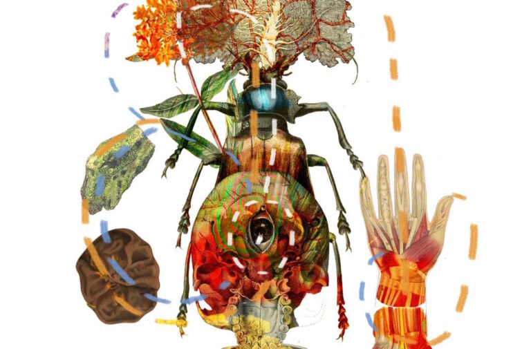 Paola Tassetti, ‘La coscienza dell’occhio venne chiamata due cuori’