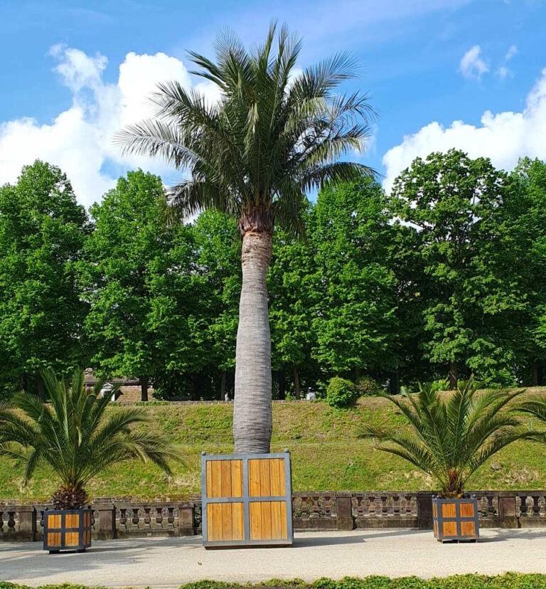 è la Riviera delle Palme? No è Bad Pyrmont