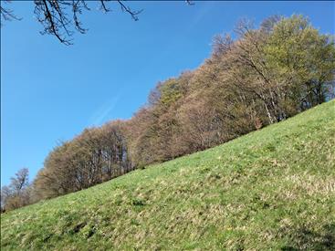 dalla Regione Marche