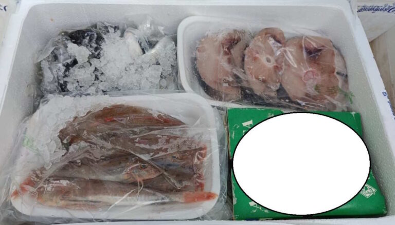 La Guardia Costiera di San Benedetto del Tronto sequestra oltre 400 kg di prodotto ittico privo di tracciabilità