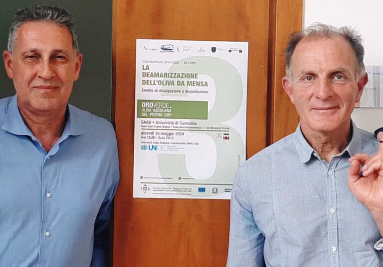 UNICAM ed ONU insieme per la sostenibilità della filiera olivicola del Piceno