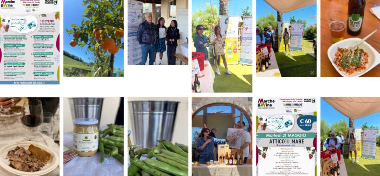 Dalla Vigna alla Tavola, UnMarediMarche! Per scoprire i Vini e le Birre delle Marche dalla Costa ai Borghi!