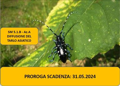 dalla Regione Marche