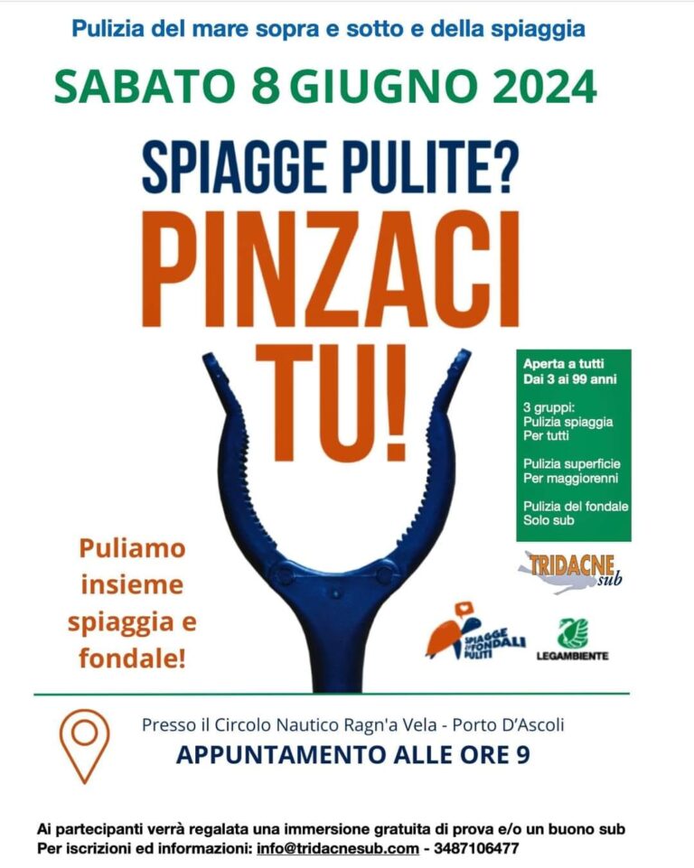 Legambiente Marche e Tridacne Sub: Iniziativa di Pulizia delle Spiagge e dei Fondali