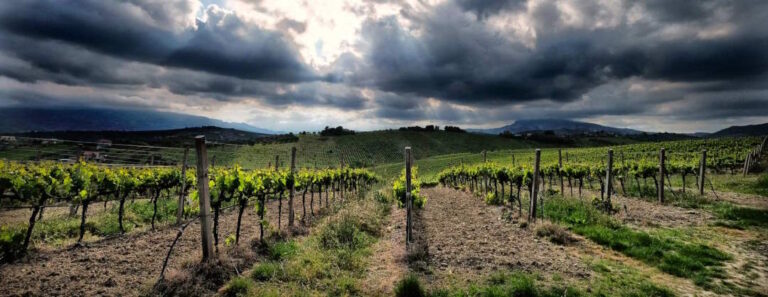 Verso la nona tappa ‘Dalla Vigna alla Tavola UnMarediMarche’