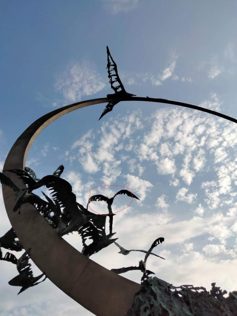 Atto di vandalismo sul monumento al Gabbiano Jonathan Livingston atto di vandalismo di Mario Lupo