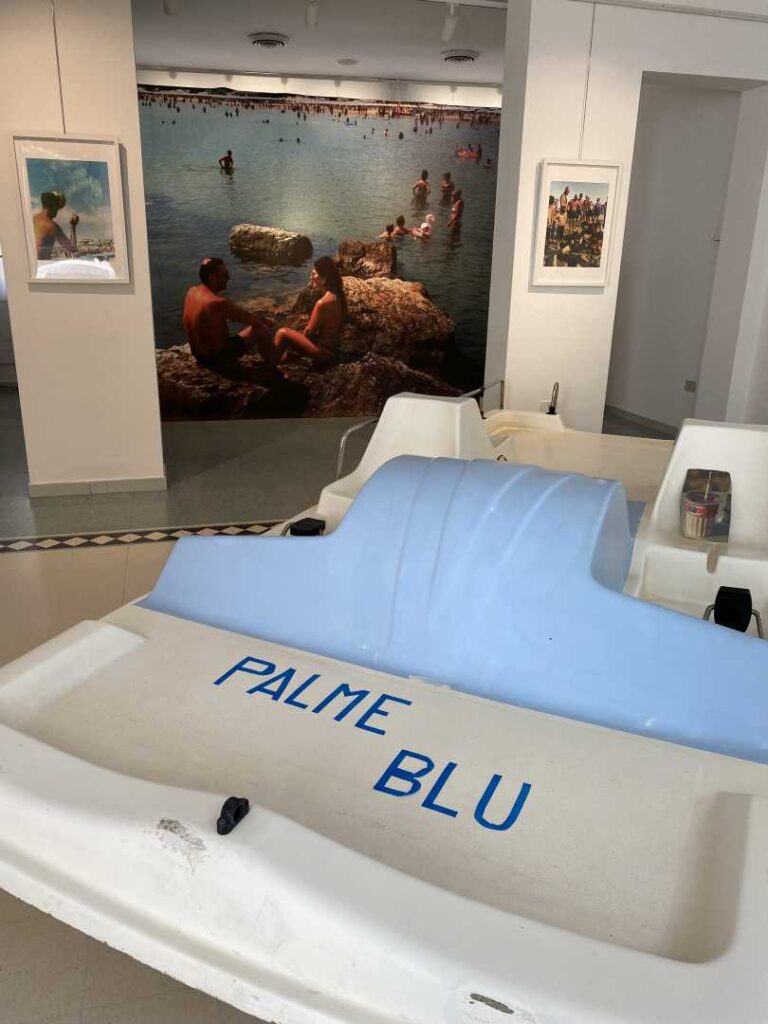 Stefano Ortega, ‘Palme Blu’ @ Palazzina Azzurra