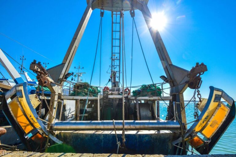 Riconoscimento ministeriale per la OP Organizzazione Produttori Marineria Sambenedettese