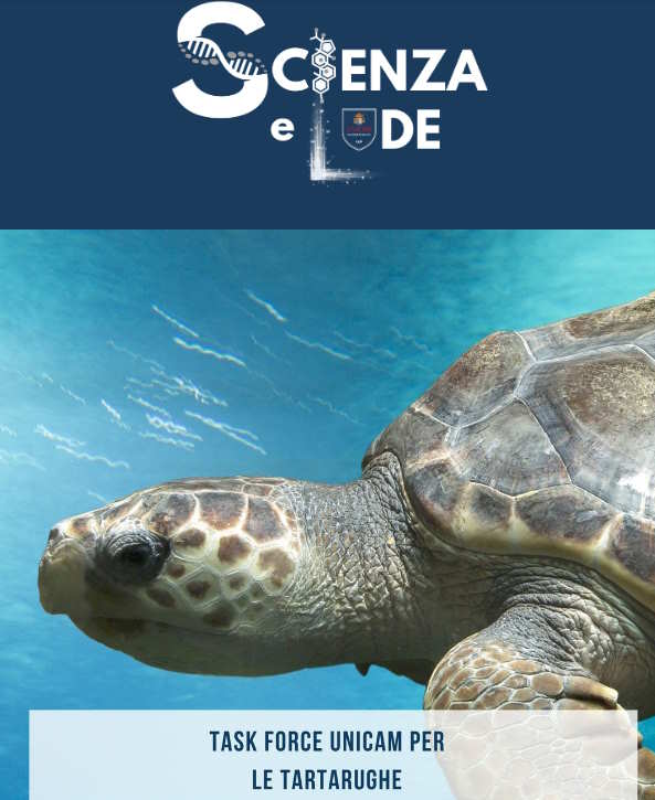 Scienza e Lode Unicam: Le novità sulla ricerca