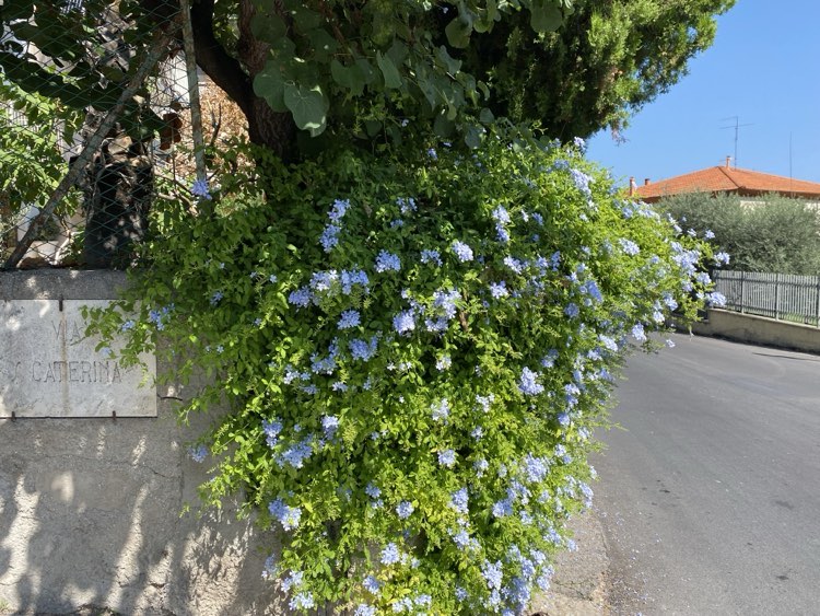 Decoro urbano e viabilità, la parola al consigliere Pasqualino Piunti