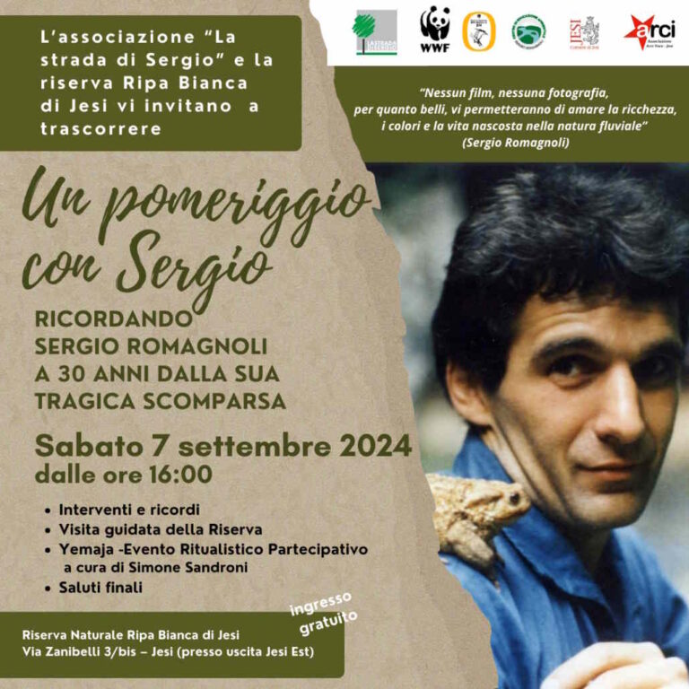 Un Pomeriggio con Sergio