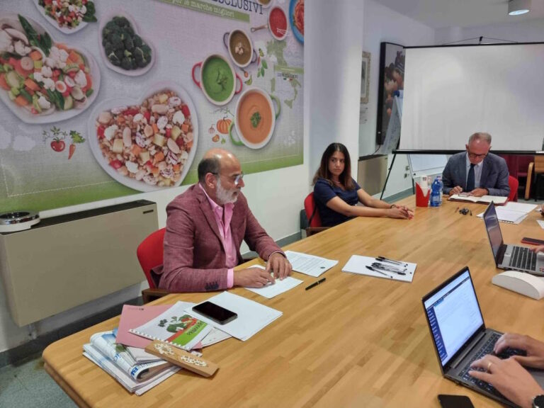 Progetto Promarche per la realizzazione di un impianto di stoccaggio automatico a bassa temperatura