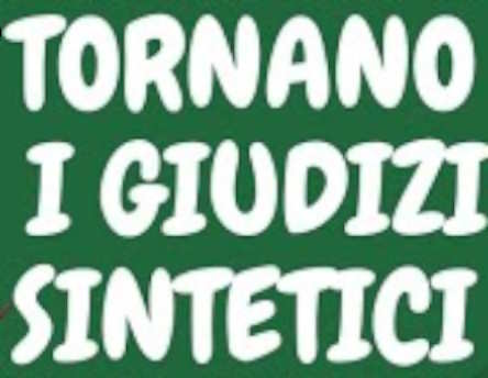 Giudizi sintetici: facilitare la comunicazione con le famiglie a discapito del benessere emotivo dei bambini?