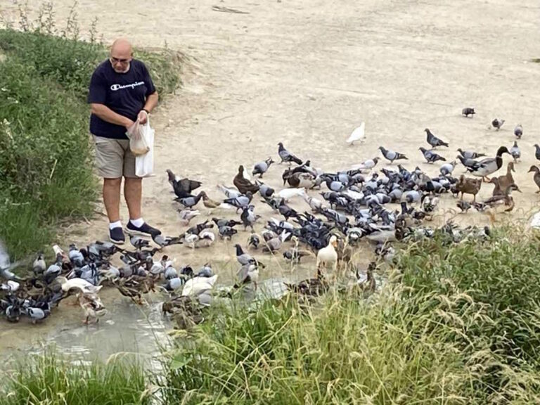 Papaveri e Papere. L’acqua scarseggia, la papera… galleggia