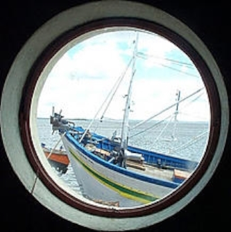 Tra Politica, Sanità e…