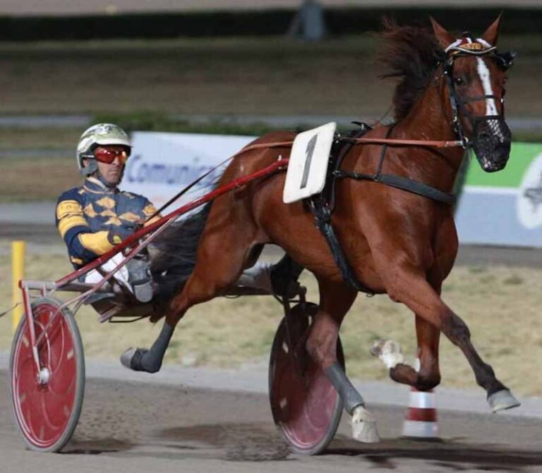IPPODROMO SAN PAOLO MONTEGIORGIO/DOMENICA 10 NOVEMBRE SI DISPUTA IL XXXVI PALIO DEI COMUNI LANFRANCO MATTII, 24 COMUNI PARTECIPANTI