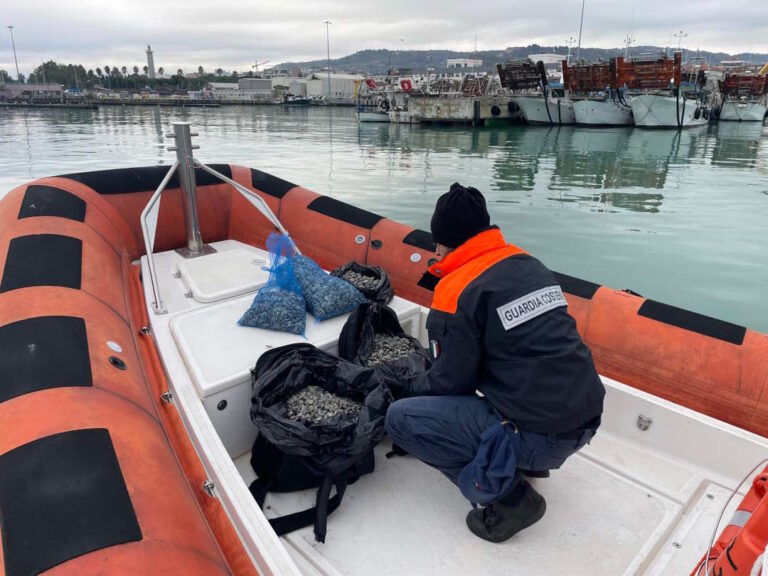 e-Fishing, operazione della Guardia Costiera a tutela della filiera della pesca