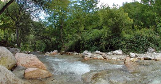 dalla Regione Marche