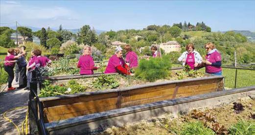 dalla Regione Marche