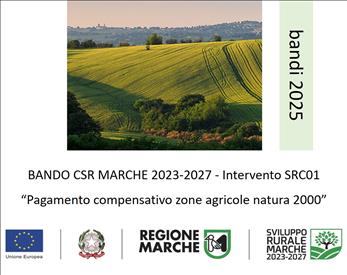 dalla Regione Marche