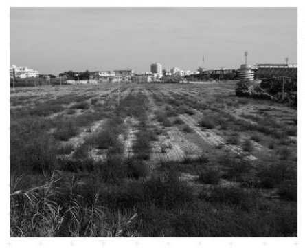 Pd San Benedetto del Tronto: ‘L’amministrazione acquisti l’Area Brancadoro’ (ndr: ‘Ok, ma a metà prezzo!)*