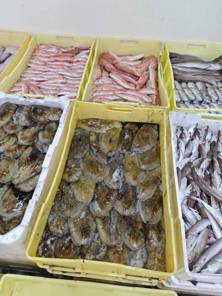 PESCE NON IDONEO AL CONSUMO: IMPORTANTE OPERAZIONE DI CONTRASTO  AL COMMERCIO ILLECITO CONDOTTA DAL SERVIZIO VETERINARIO DELL’AST 5